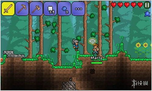 泰拉瑞亚游戏攻略
