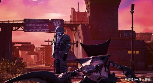 星河战队游戏攻略