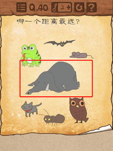 最囧游戏40攻略