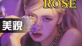 lisa游戏攻略