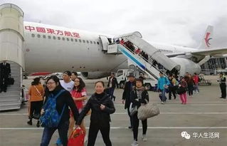 韩客机幸存空乘:冲击后失忆