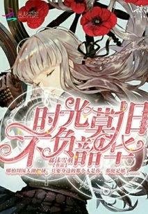 不负韶华游戏养成攻略