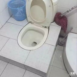 网友晒用了40多年的盆 品牌方送新盆 网友晒用了40多年的盆 品牌方送新盆