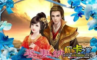 橙光游戏娶妻纳妾攻略