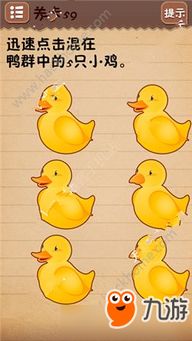 寻找小鸡游戏攻略