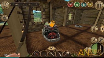 荒岛求生进化游戏攻略