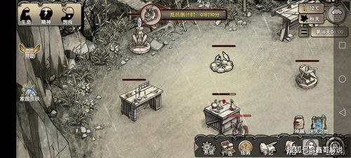 新版荒岛求生游戏攻略