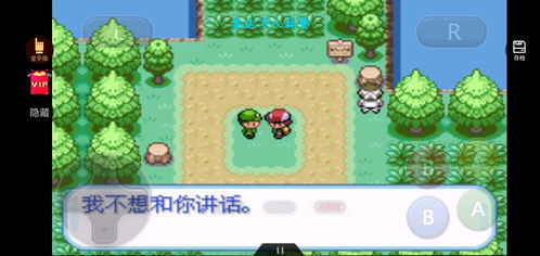 口袋妖怪盖亚游戏攻略 口袋妖怪盖亚游戏攻略