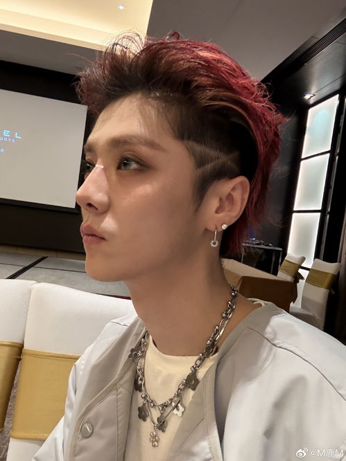 鹿晗道歉:做出了不良示范 鹿晗道歉:做出了不良示范