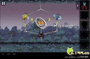 蜘蛛攻略游戏