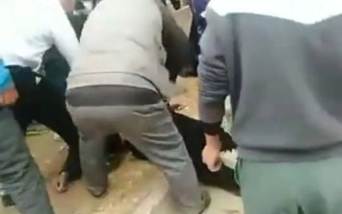 被骗到缅东小伙跳河逃生棉裤都没脱