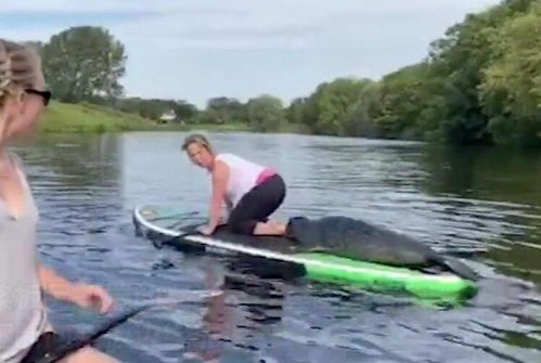 女子报警称在三亚冲浪时遭教练猥亵