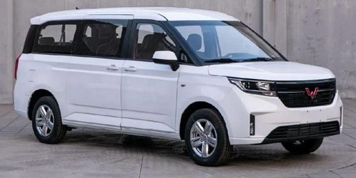 9胞胎女子最后两胎没保住