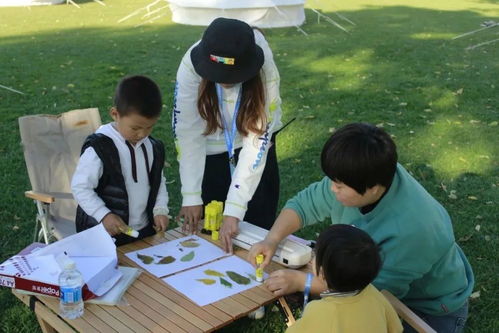 家庭露营游戏攻略