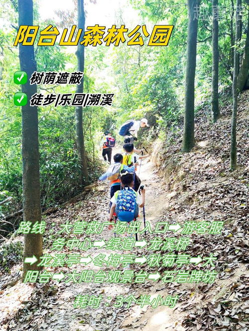 徒步游戏攻略亲子