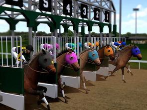 赛马运动游戏攻略