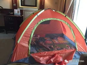 松鼠房子游戏攻略