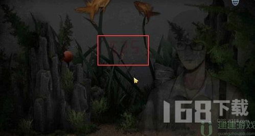 虫鸣游戏视频攻略