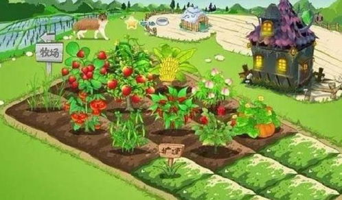 种菜做饭游戏攻略