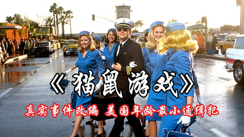 天才猫猫游戏攻略