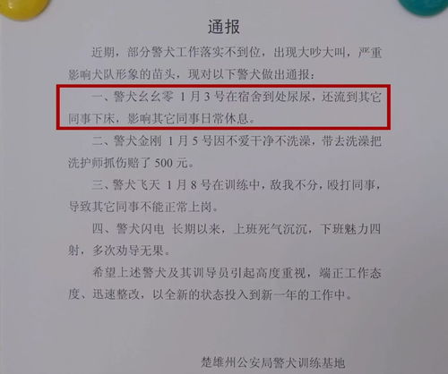 警犬幺幺零连续4周被通报