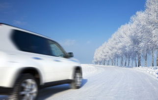 东北零下二十几度的公交车里全是雪 东北零下二十几度的公交车里全是雪