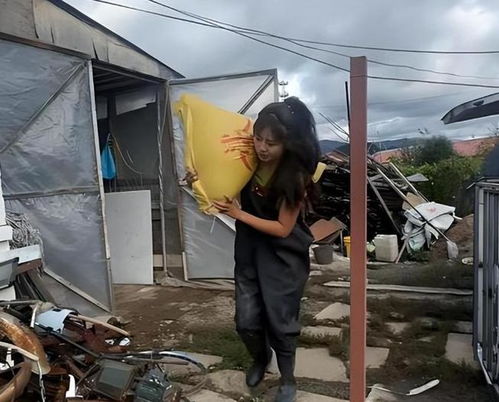 空姐裸辞回家养猪:人都腌入味了