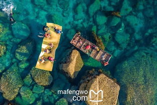 私生岛游戏攻略