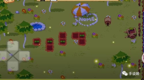 种地的游戏攻略 种地的游戏攻略