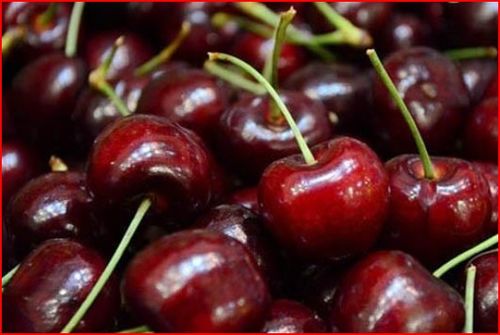 2万吨智利车厘子运抵中国