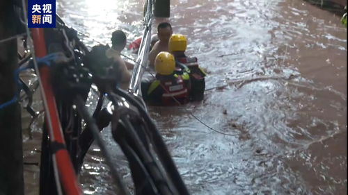 重庆公园大量锦鲤死亡 投毒者被拘