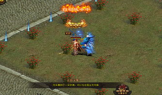 幻境传奇游戏攻略