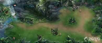 迷雾丛林游戏攻略