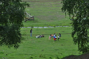 新疆游戏攻略亲子 新疆游戏攻略亲子