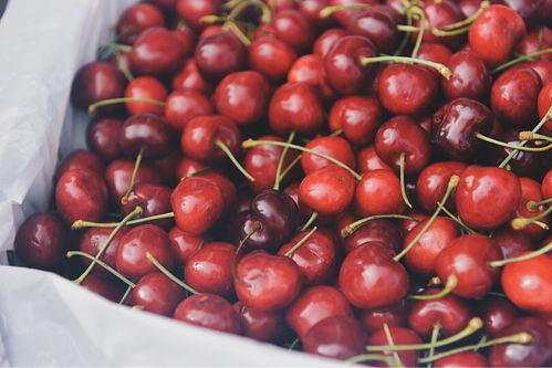 车厘子价格暴跌80% 车厘子价格暴跌80%