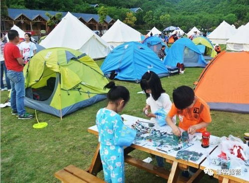 夏季露营攻略游戏