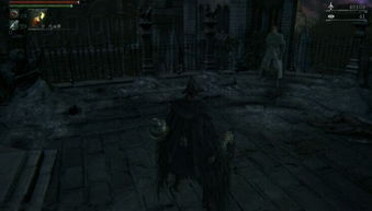 禁忌森林游戏攻略