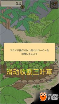 养青蛙游戏攻略