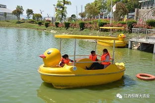 游艇游戏攻略照片