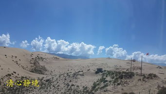 塔尔寺攻略游戏推荐 塔尔寺攻略游戏推荐