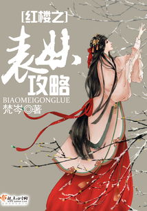 红楼攻略游戏小说 红楼攻略游戏小说