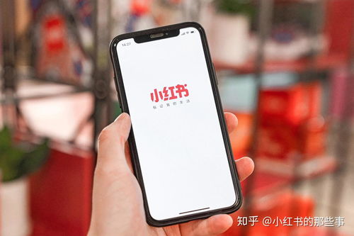 小红书2天新增超70万用户