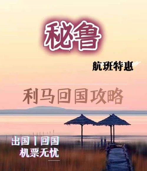 回国攻略游戏推荐