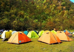 增城露营攻略游戏