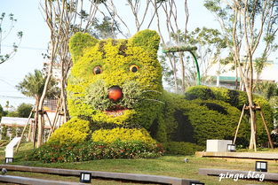 植物打卡游戏攻略