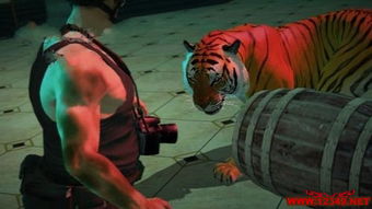 抓老虎游戏攻略