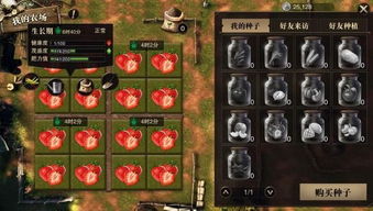 怎样种菜游戏攻略