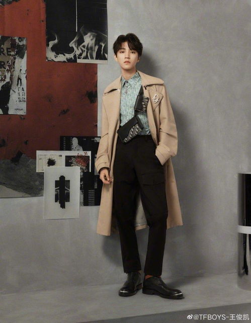 王俊凯二搭刘德华