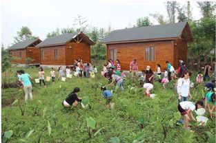 生态农场游戏攻略