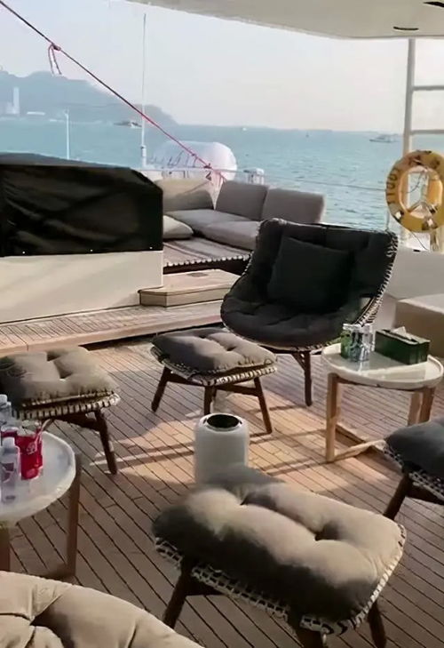 杨子直播求婚黄圣依